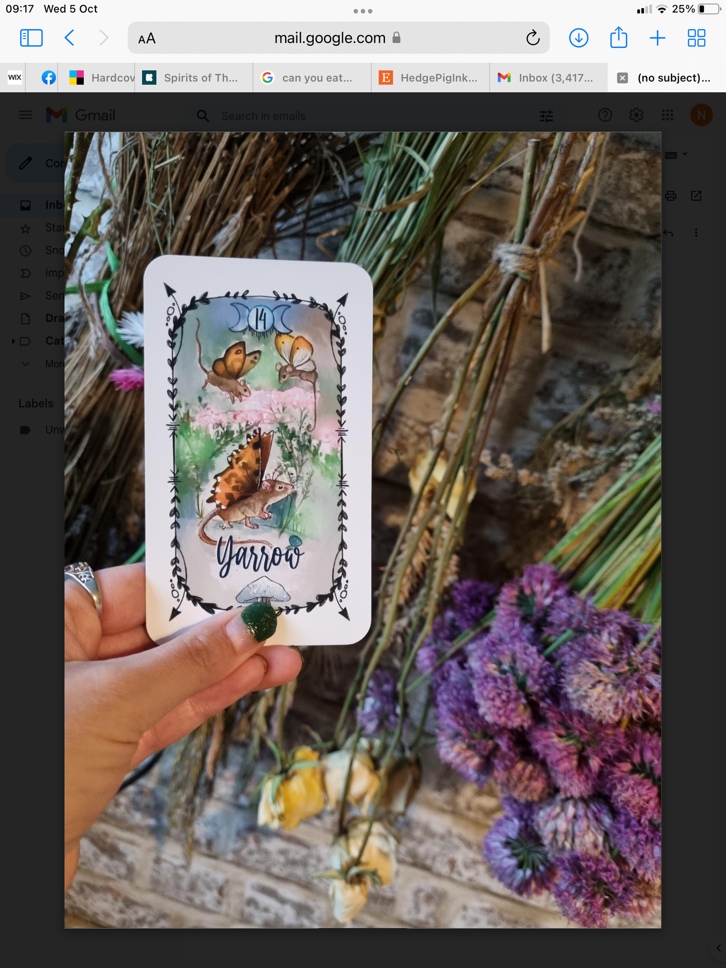 Spirits of the Hedgerow Oracle deck *preorder for reprint!!!!*