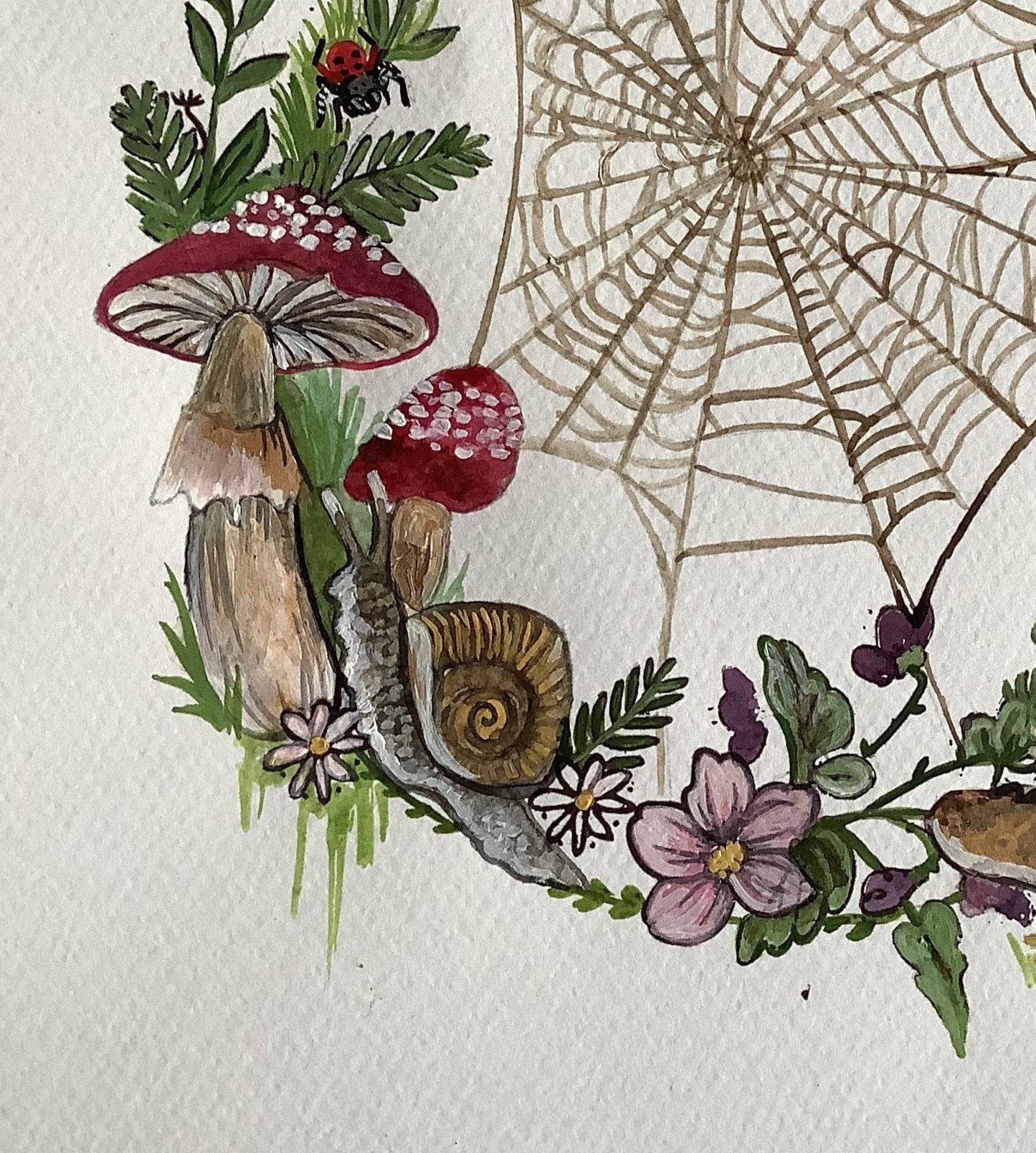 Protect the little things. A4 entomology print